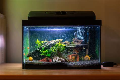 diy fish tank|9 Ways to Make an Aquarium .